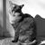 Donna Sanderson Brinton's profile image