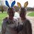 Deborah Thomas's profile image