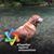 Mary Ann McCall Miller's profile image