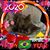 Nancy Leetts's profile image