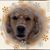 Melissa Thran-Gerlach's profile image