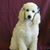 Deborah Haner's profile image