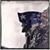 Steve Connors's profile image