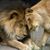 Kisha Dillon's profile image