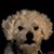 Andrew Carson's profile image