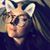 Lindsey Lee Adams's profile image