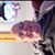 David Holzapfel's profile image