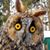 Claudia Smith's profile image