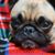 Jennifer Loer's profile image