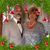 David Foster's profile image
