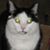 Liz Clements's profile image