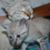 Xana Rocha's profile image