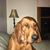 David Catfish Cathey's profile image