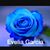 Evelia Garcia's profile image