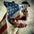 Jeffrey Carreras's profile image