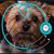Linda Gencarelli's profile image