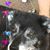 Peggy Miller's profile image