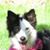 Alice Canales's profile image