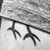 Jon Stroop's profile image