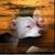 Angie Lennon's profile image