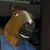 Jeff Sciguy's profile image