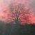 Terri Hays's profile image