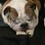 Tracie Alicia Chellis's profile image
