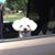 Joan Collins's profile image