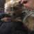 Nichole Brazelton's profile image