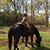 Shannon Patterson Eckholt's profile image