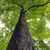 Karla Paschek's profile image