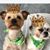 Terri Tuazon's profile image