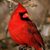 Anne Harmon's profile image