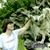 Valerie Wake's profile image