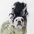 Ruth Foley's profile image