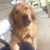 Terry Holley's profile image