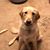 Robin Ryen Douglas's profile image