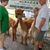 Richard J. Garcia's profile image