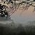 Sandy Kelly Bush's profile image