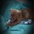 Christy Engle's profile image