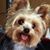 Mary Ann's profile image