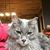 Karen Dzubay's profile image