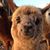 Traci Baird's profile image