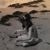 Amy L. Cooper's profile image