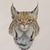 Jim Phipps's profile image