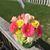 Roxann Nicole's profile image