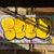 Seed Young's profile image