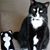 Cindy Schoemann's profile image