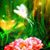 Carol Laford's profile image