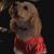Nancy Corney's profile image